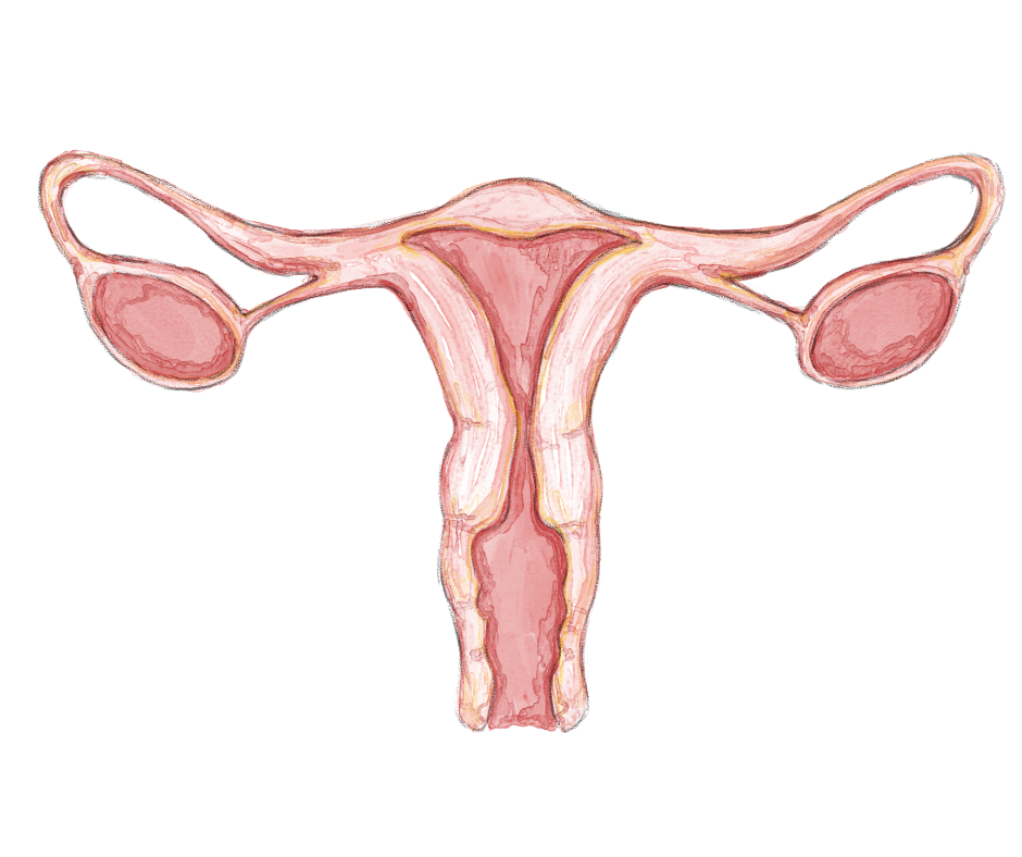 Surgery for Heavy periods