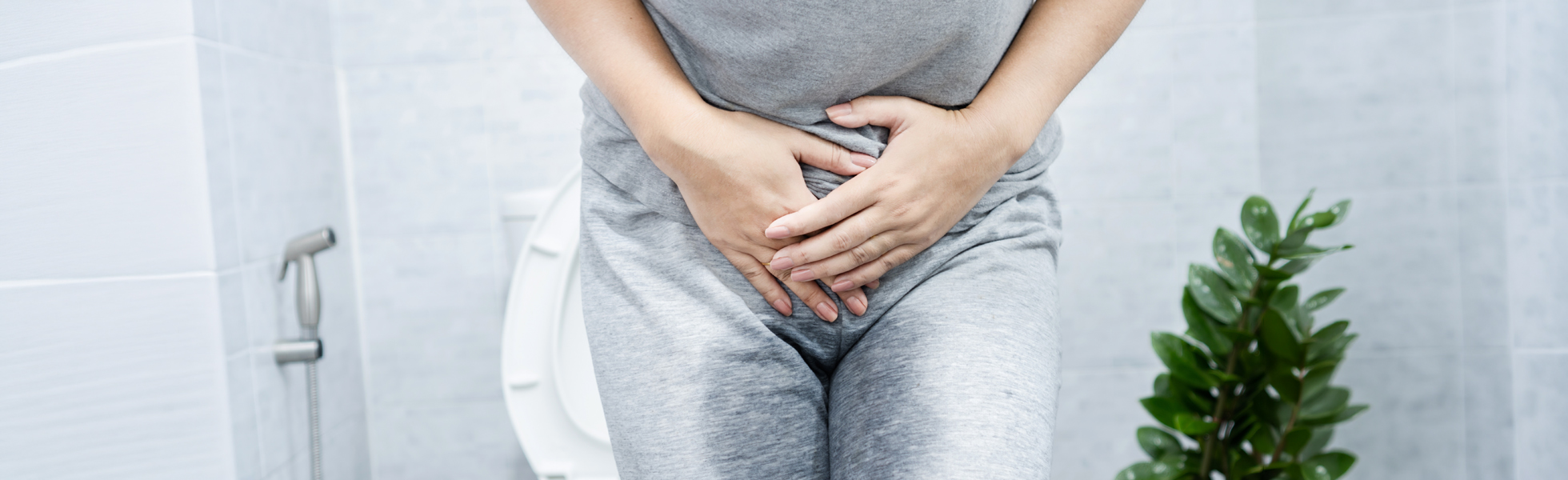 Gynaecology Urinary Conditions Banner