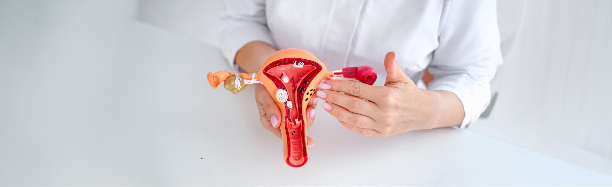 Gynaecology Uterine Conditions Banner