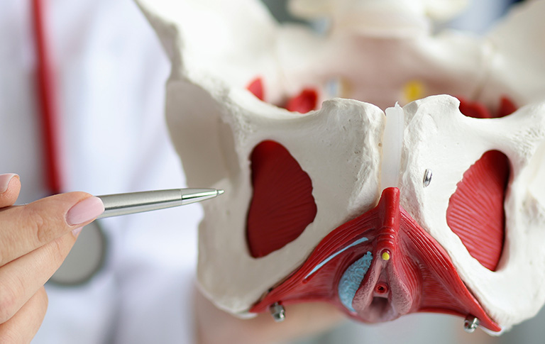 Pelvic Organ Prolapse