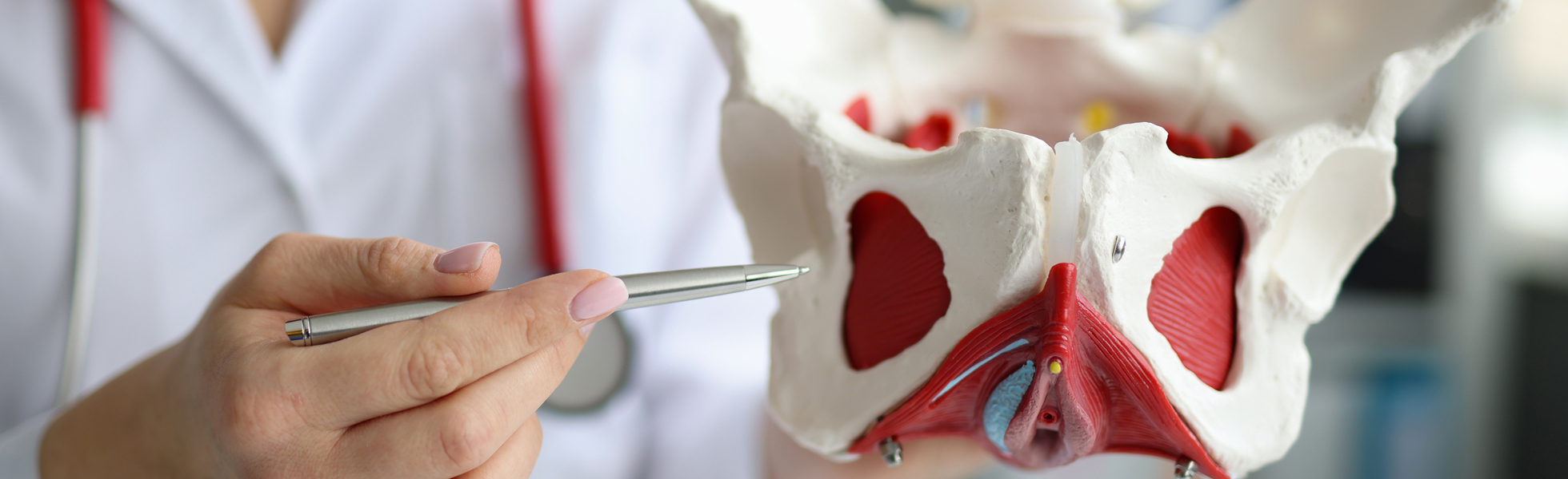 Pelvic Organ Prolapse Information